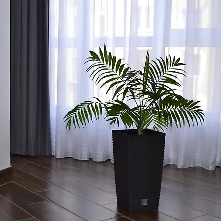 Modern Apartment On Belvedere Iwano-Frankiwsk Zewnętrze zdjęcie