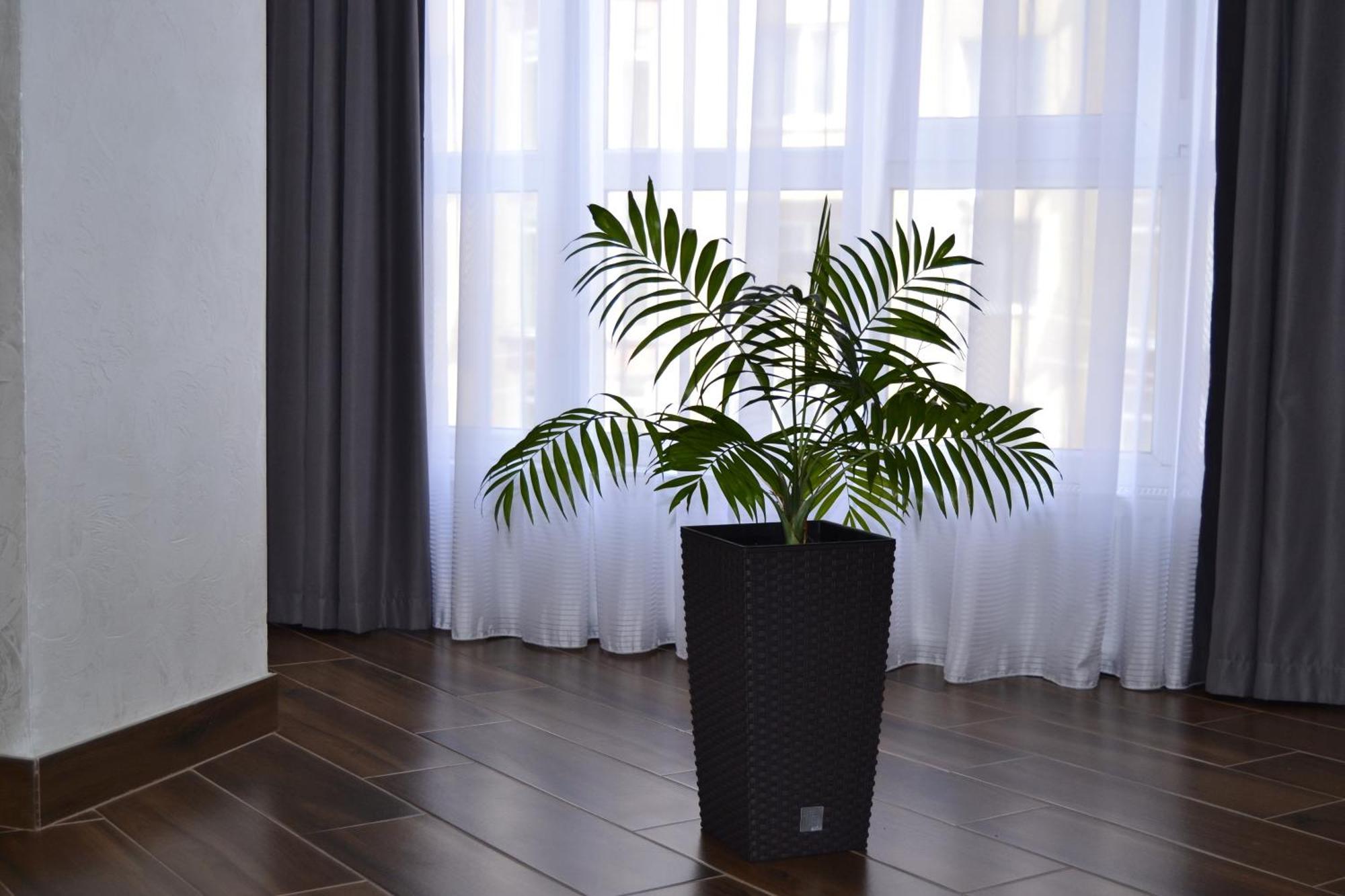 Modern On Belvedere Apartment *